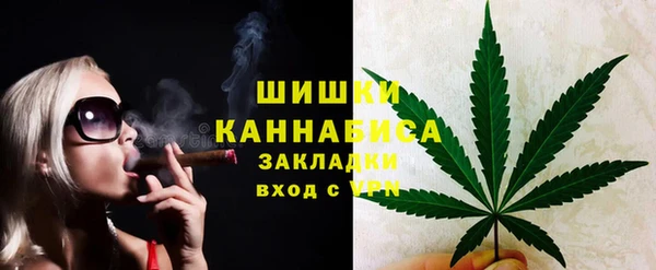прущие грибы Богородск