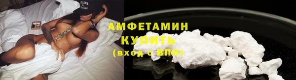 прущие грибы Богородск
