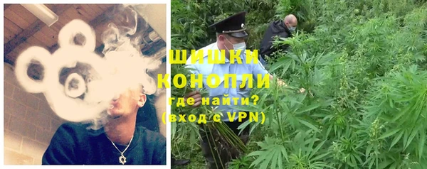 прущие грибы Богородск