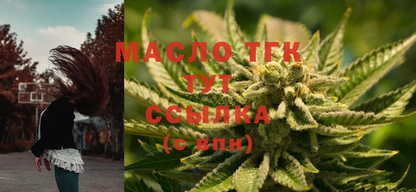 прущие грибы Богородск