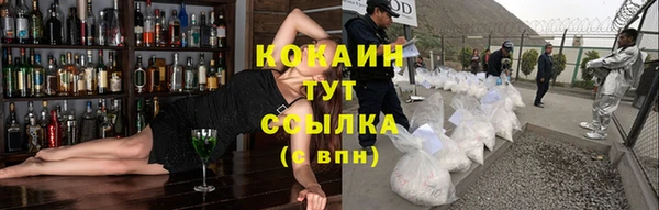 прущие грибы Богородск