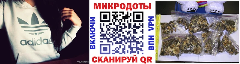 цена наркотик  Заинск  Галлюциногенные грибы Psilocybe 