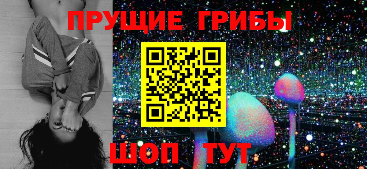 купить закладку  Псилоцибиновые грибы Magic Shrooms  Заинск  Галлюциногенные грибы MAGIC MUSHROOMS 