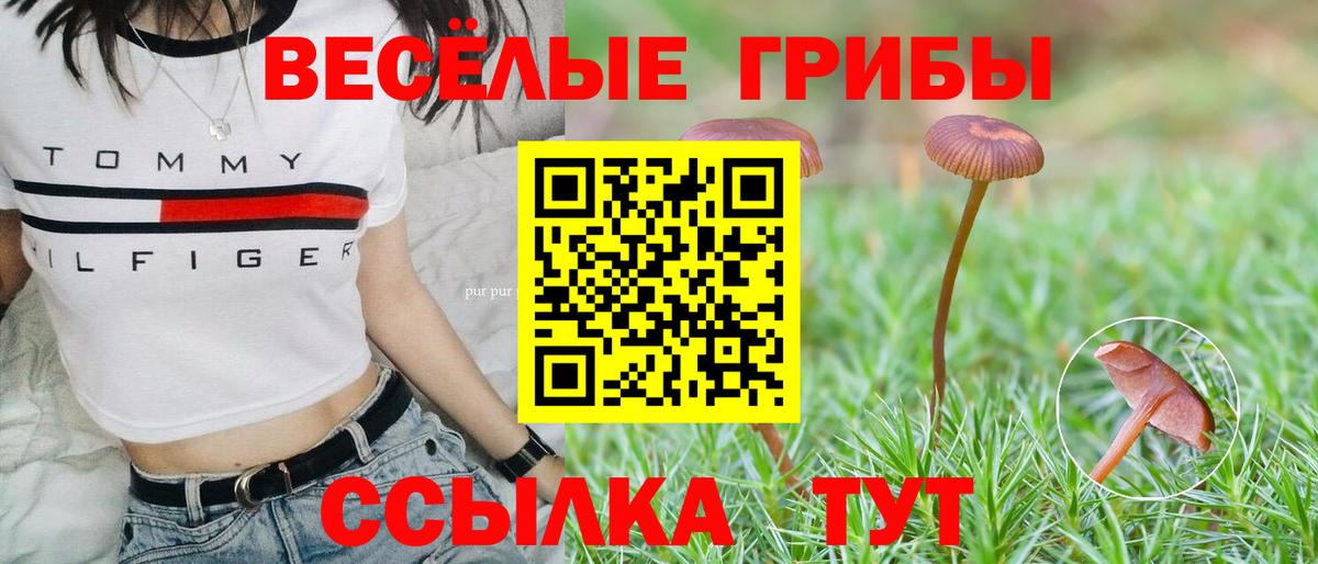 Псилоцибиновые грибы GOLDEN TEACHER  Вход с VPN  Заинск 